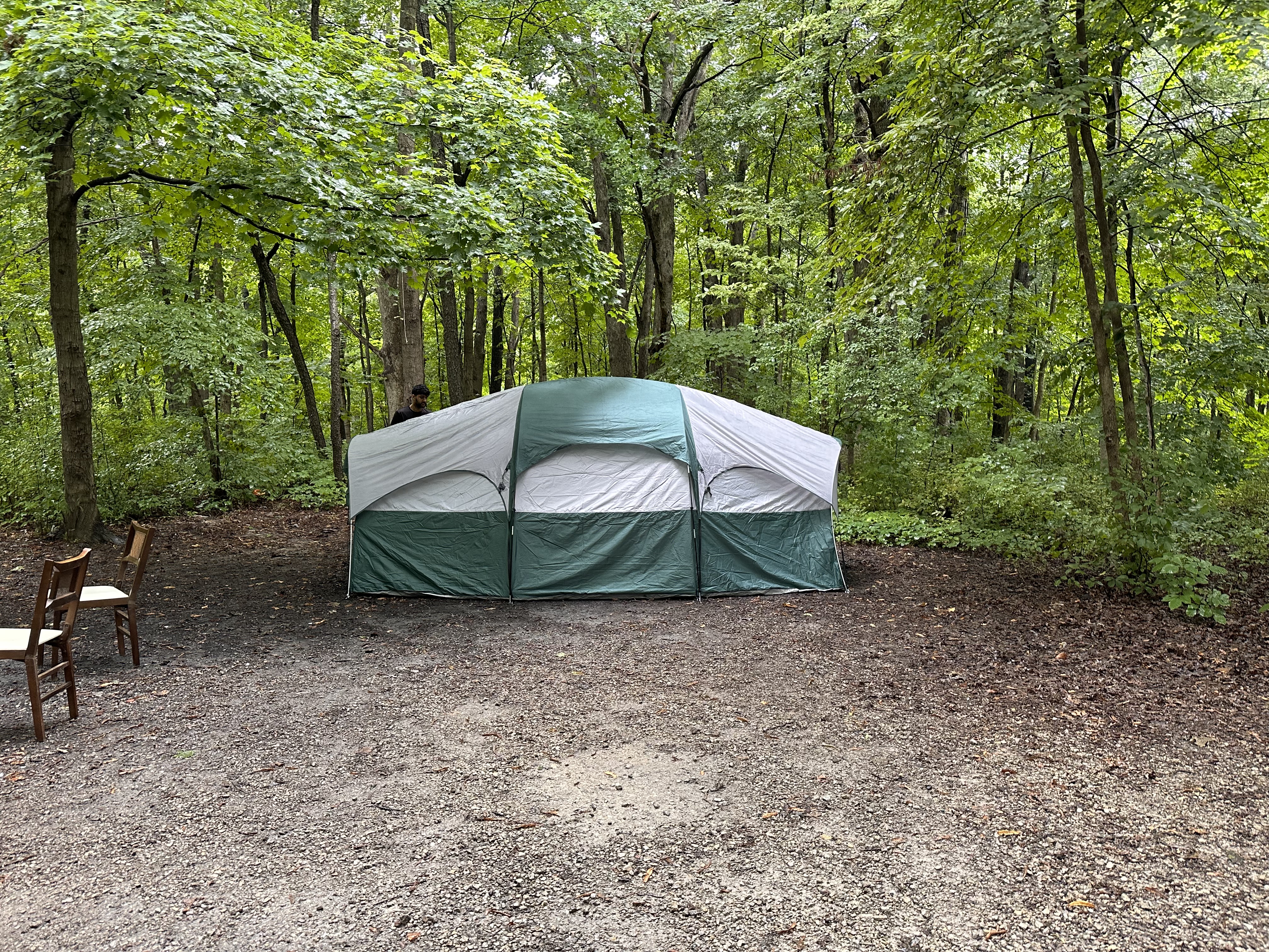 Camping in the woods